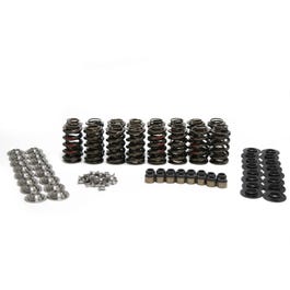 BTR .650″ LIFT MAX PRESSURE SPRING KIT WITH TITANIUM RETAINERS (for ROLLER ROCKERS) SK002